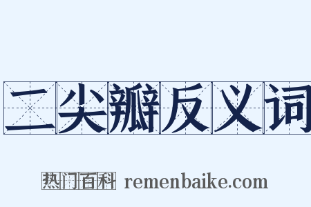 二尖瓣反义词是什么意思的图片